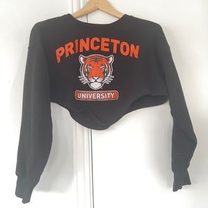 cropped princeton sweater